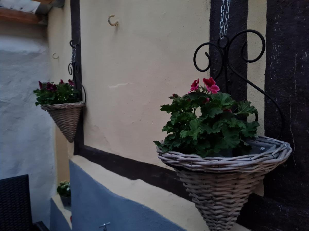 Ferienhaus Schatzliebe Quedlinburg Dış mekan fotoğraf